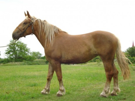 Takový domácí koníček :-D :-D :-D